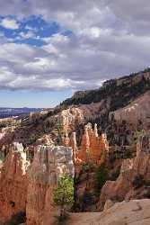 Bryce Canyon National Park Utah Fairyland Point Rim Coast Pass Fine Art Photography Prints For Sale - 006312 - 11-10-2010 - 4402x6616 Pixel Bryce Canyon National Park Utah Fairyland Point Rim Coast Pass Fine Art Photography Prints For Sale Fine Art Photographer Fine Art Fine Art Photos Creek Photo...