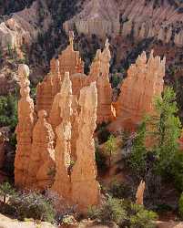 Bryce Canyon National Park Utah Fairyland Point Rim Image Stock Images Spring - 006324 - 11-10-2010 - 4120x5126 Pixel Bryce Canyon National Park Utah Fairyland Point Rim Image Stock Images Spring Fine Art Prints For Sale Coast Fine Art Photos Art Printing Creek Ice Island Fine...