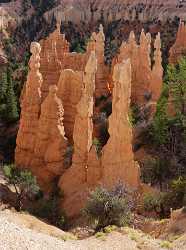 Bryce Canyon National Park Utah Fairyland Point Rim Flower Fine Art Nature Photography - 006326 - 11-10-2010 - 6529x8798 Pixel Bryce Canyon National Park Utah Fairyland Point Rim Flower Fine Art Nature Photography What Is Fine Art Photography Images Nature Shore Modern Art Prints Modern...