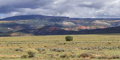 Bryce Canyon Johns Valley Utah Autumn Red Rock Pass Grass Fine Arts Fine Art Nature Photography - 015197 - 29-09-2014 - 20862x6801 Pixel Bryce Canyon Johns Valley Utah Autumn Red Rock Pass Grass Fine Arts Fine Art Nature Photography Landscape Photography Photography Prints For Sale Fine Art Print...