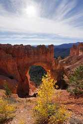 Bryce Canyon National Park Utah Natural Bridge Rim Fine Art Photography Prints For Sale Mountain - 005713 - 10-10-2010 - 4445x6866 Pixel Bryce Canyon National Park Utah Natural Bridge Rim Fine Art Photography Prints For Sale Mountain Country Road Photo Stock Pictures Fine Art Printing Prints Fine...