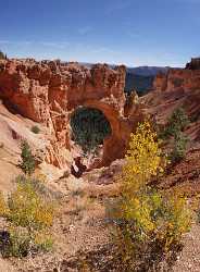 Bryce Canyon National Park Utah Natural Bridge Rim Fine Art Giclee Printing Grass Coast - 005822 - 10-10-2010 - 6358x8640 Pixel Bryce Canyon National Park Utah Natural Bridge Rim Fine Art Giclee Printing Grass Coast Fine Art Landscape Fog Nature Modern Wall Art Fine Art Prints Fine Arts...