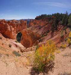 Bryce Canyon National Park Utah Natural Bridge Rim Fine Art Photography Galleries Stock Summer - 005833 - 10-10-2010 - 6589x6889 Pixel Bryce Canyon National Park Utah Natural Bridge Rim Fine Art Photography Galleries Stock Summer Fine Art Photography Nature Fine Arts Photography Art Photography...