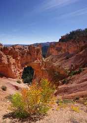 Bryce Canyon National Park Utah Natural Bridge Rim Barn Leave Art Printing Modern Wall Art - 005838 - 10-10-2010 - 4417x6264 Pixel Bryce Canyon National Park Utah Natural Bridge Rim Barn Leave Art Printing Modern Wall Art Hi Resolution Fine Art Landscapes Spring Prints Images Fine Arts...