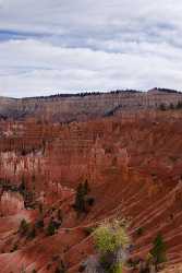 Bryce Canyon National Park Utah Sunrise Point Rim Fine Art Fine Art Landscape Winter - 008848 - 09-10-2010 - 4233x7502 Pixel Bryce Canyon National Park Utah Sunrise Point Rim Fine Art Fine Art Landscape Winter Fine Art America Photography Prints For Sale Spring Country Road Grass...