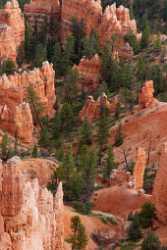 Bryce Canyon National Park Utah Sunrise Point Rim Fine Art Prints For Sale Autumn - 008849 - 09-10-2010 - 3848x10860 Pixel Bryce Canyon National Park Utah Sunrise Point Rim Fine Art Prints For Sale Autumn Fine Art Fotografie Prints Fine Art Photographer Stock Image Sea Shoreline...