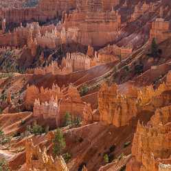 Bryce Canyon Sunrise Point Overlook Trail Utah Autumn Royalty Free Stock Photos Grass - 015041 - 01-10-2014 - 7161x7194 Pixel Bryce Canyon Sunrise Point Overlook Trail Utah Autumn Royalty Free Stock Photos Grass Fine Art Photography Prints Creek Beach Fine Art Prints Fine Art...