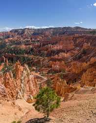 Bryce Canyon Sunrise Point Overlook Trail Utah Autumn Outlook Animal Beach - 015044 - 01-10-2014 - 6485x8264 Pixel Bryce Canyon Sunrise Point Overlook Trail Utah Autumn Outlook Animal Beach Fine Art Landscape Photography Photography Fine Art Photography Senic Landscape...