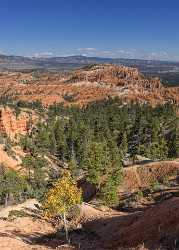 Bryce Canyon Sunrise Point Overlook Trail Utah Autumn Fine Art Fine Art Prints For Sale Stock Image - 015046 - 01-10-2014 - 6935x9659 Pixel Bryce Canyon Sunrise Point Overlook Trail Utah Autumn Fine Art Fine Art Prints For Sale Stock Image Fog Photo Outlook Fine Art Photography Gallery Island Order...