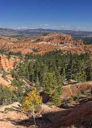 Bryce Canyon Sunrise Point Overlook Trail Utah Autumn Fine Art Fine Art Prints For Sale Stock Image - 015046 - 01-10-2014 - 6935x9659 Pixel Bryce Canyon Sunrise Point Overlook Trail Utah Autumn Fine Art Fine Art Prints For Sale Stock Image Fog Photo Outlook Fine Art Photography Gallery Island Order...