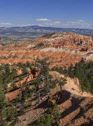 Bryce Canyon Sunrise Point Overlook Trail Utah Autumn Fine Art Photography Prints Fine Arts Animal - 015047 - 01-10-2014 - 6704x8998 Pixel Bryce Canyon Sunrise Point Overlook Trail Utah Autumn Fine Art Photography Prints Fine Arts Animal Forest Fine Art Foto Fine Art Printing Hi Resolution Country...