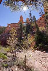 Bryce Canyon National Park Utah Tower Bridge Fairyland Fine Art Foto Modern Art Print - 006074 - 11-10-2010 - 4251x6316 Pixel Bryce Canyon National Park Utah Tower Bridge Fairyland Fine Art Foto Modern Art Print Fine Art Prints Mountain Fine Art Print Fine Art Photography Gallery What...