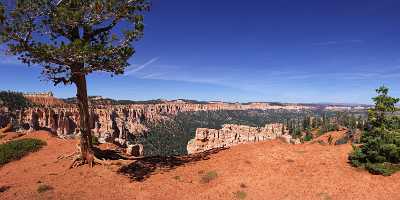 Bryce Canyon National Park Utah Yovimpa Point Under Photo Fine Art Animal - 005814 - 10-10-2010 - 10526x4164 Pixel Bryce Canyon National Park Utah Yovimpa Point Under Photo Fine Art Animal Fine Art Nature Photography Beach Fine Art Photography For Sale View Point Fine Art...