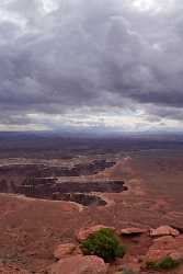 Moab Canyonlands National Park Grand Viewpoint Road Utah Fine Art Royalty Free Stock Images - 008081 - 05-10-2010 - 4221x6763 Pixel Moab Canyonlands National Park Grand Viewpoint Road Utah Fine Art Royalty Free Stock Images Fine Art Photography Prints Leave Art Prints For Sale Tree Pass...