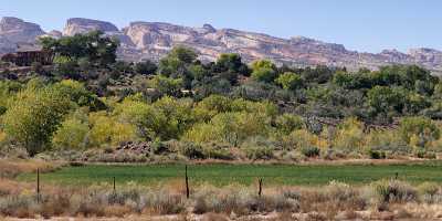 Fruita Capitol Reef National Park Utah Landscape Scenic What Is Fine Art Photography Mountain - 006842 - 13-10-2010 - 11807x4149 Pixel Fruita Capitol Reef National Park Utah Landscape Scenic What Is Fine Art Photography Mountain Fine Art Photography For Sale Fine Art Posters Fine Art Landscape...