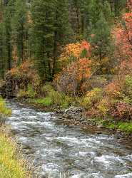 Chicken Creek Utah Autumn Color Colorful Fall Foliage Image Stock Shore Images Nature Sky Forest - 015578 - 21-09-2014 - 7082x9580 Pixel Chicken Creek Utah Autumn Color Colorful Fall Foliage Image Stock Shore Images Nature Sky Forest Fine Art America Fine Art Photographers What Is Fine Art...