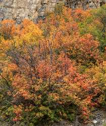 Chicken Creek Utah Autumn Color Colorful Fall Foliage Shoreline Fine Art Photography Animal Sky - 015579 - 21-09-2014 - 6843x8146 Pixel Chicken Creek Utah Autumn Color Colorful Fall Foliage Shoreline Fine Art Photography Animal Sky Stock Images Western Art Prints For Sale Art Prints For Sale...