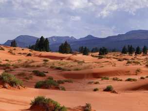 Coral Pink Sand Dunes