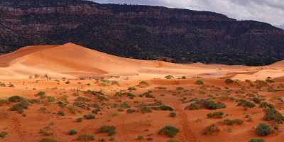 Coral Pink Sand Dunes State Park Kanab Utah Photography Prints For Sale Snow Fine Art Pictures Sky - 008212 - 06-10-2010 - 14810x4033 Pixel Coral Pink Sand Dunes State Park Kanab Utah Photography Prints For Sale Snow Fine Art Pictures Sky Landscape Photography Fine Art Fine Art Foto Fine Arts...