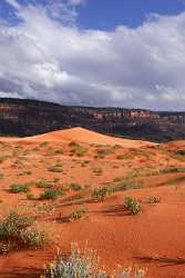 Coral Pink Sand Dunes State Park Kanab Utah Autumn Winter Rock Art Prints Fine Art Pictures Town - 008232 - 06-10-2010 - 4224x7810 Pixel Coral Pink Sand Dunes State Park Kanab Utah Autumn Winter Rock Art Prints Fine Art Pictures Town Fine Art Photos Spring Outlook Sunshine Stock Photos Image...