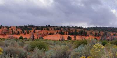 Coral Pink Sand Dunes State Park Kanab Utah Prints For Sale River Outlook Pass - 008249 - 06-10-2010 - 8953x3926 Pixel Coral Pink Sand Dunes State Park Kanab Utah Prints For Sale River Outlook Pass Fine Art Landscape Photography Spring Beach Photo Fine Art View Point Famous Fine...