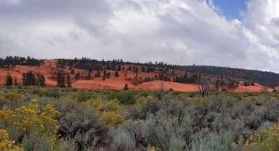 Coral Pink Sand Dunes State Park Kanab Utah Hi Resolution Fine Art Giclee Printing - 008251 - 06-10-2010 - 8807x4750 Pixel Coral Pink Sand Dunes State Park Kanab Utah Hi Resolution Fine Art Giclee Printing What Is Fine Art Photography Mountain Modern Art Prints Senic Prints For Sale...