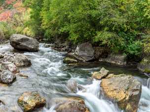 Cottonwood Canyon