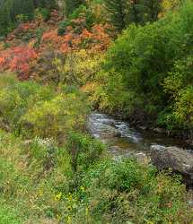 Cottonwood Canyon Utah Autumn Color Colorful Fall Foliage Summer Sale Panoramic Modern Wall Art - 015585 - 21-09-2014 - 5922x6894 Pixel Cottonwood Canyon Utah Autumn Color Colorful Fall Foliage Summer Sale Panoramic Modern Wall Art Fine Arts Sunshine Stock Pictures Ice Fine Art Printer Modern...