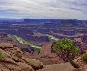 Moab Dead Horse Point State Park Utah Canyon Image Stock Royalty Free Stock Images Tree - 012294 - 09-10-2012 - 12107x9902 Pixel Moab Dead Horse Point State Park Utah Canyon Image Stock Royalty Free Stock Images Tree Stock Photos Landscape Photography Art Prints For Sale Coast Sky...