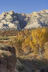 Jensen Utah Dinosaur National Monument Green River Bank Fine Art Photos Island Photography - 021864 - 18-10-2017 - 7456x12406 Pixel Jensen Utah Dinosaur National Monument Green River Bank Fine Art Photos Island Photography What Is Fine Art Photography Fine Art Photographer Animal Fine Art...