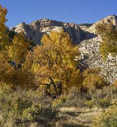 Jensen Utah Dinosaur National Monument Green River Bank Creek Fine Art Barn Fine Art Photography - 021872 - 18-10-2017 - 7690x8317 Pixel Jensen Utah Dinosaur National Monument Green River Bank Creek Fine Art Barn Fine Art Photography Royalty Free Stock Images Stock Town Snow Stock Pictures Fine...