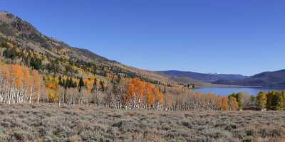 Fish Lake Utah Autumn Color Fall Foliage Leaves Photo Fine Art Fine Art Fotografie Pass - 006756 - 13-10-2010 - 14004x4219 Pixel Fish Lake Utah Autumn Color Fall Foliage Leaves Photo Fine Art Fine Art Fotografie Pass Modern Art Print Stock Images Western Art Prints For Sale Senic Order...