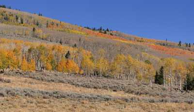 Fish Lake Utah Autumn Color Fall Foliage Leaves Creek Modern Art Print River Fog Fine Art Posters - 006767 - 13-10-2010 - 10676x6194 Pixel Fish Lake Utah Autumn Color Fall Foliage Leaves Creek Modern Art Print River Fog Fine Art Posters Royalty Free Stock Images Fine Art Prints For Sale City Spring...