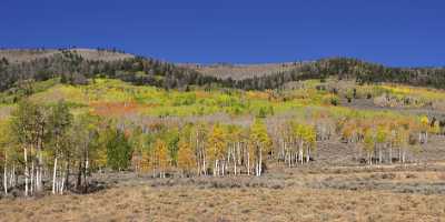 Fish Lake Utah Autumn Color Fall Foliage Leaves Cloud Country Road What Is Fine Art Photography Fog - 006771 - 13-10-2010 - 13127x6462 Pixel Fish Lake Utah Autumn Color Fall Foliage Leaves Cloud Country Road What Is Fine Art Photography Fog Fine Art Posters Fine Art Photography Galleries Fine Art...