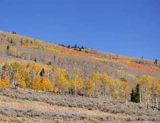 Fish Lake Utah Autumn Color Fall Foliage Leaves Shore Fine Art Photographer Prints For Sale Snow - 006783 - 13-10-2010 - 6412x4926 Pixel Fish Lake Utah Autumn Color Fall Foliage Leaves Shore Fine Art Photographer Prints For Sale Snow Shoreline Fine Art Photography Galleries Fine Art Photography...