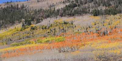 Fish Lake Utah Autumn Color Fall Foliage Leaves Fine Art Photos Images Rock Modern Art Print Park - 006802 - 13-10-2010 - 13659x4150 Pixel Fish Lake Utah Autumn Color Fall Foliage Leaves Fine Art Photos Images Rock Modern Art Print Park City Fine Art Photographer Outlook Fine Art Printing Stock...