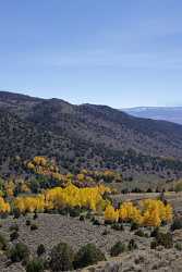 Fremont River Utah Autumn Color Fall Foliage Leaves Fine Art Fine Art Photography Sky - 006821 - 13-10-2010 - 4253x7926 Pixel Fremont River Utah Autumn Color Fall Foliage Leaves Fine Art Fine Art Photography Sky Fine Art Giclee Printing Lake Rain Beach Photography Fine Art...