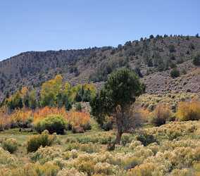 Fremont River Utah Autumn Color Fall Foliage Leaves Art Prints For Sale Rock Sky Snow Lake Photo - 006825 - 13-10-2010 - 6561x5786 Pixel Fremont River Utah Autumn Color Fall Foliage Leaves Art Prints For Sale Rock Sky Snow Lake Photo Grass Winter Country Road Prints Fine Art Printer Summer Fine...