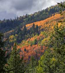 Kamas Utah Autumn Fall Color Colorful Tree Mountain Park Fine Arts Sale Pass Art Printing Order - 015217 - 28-09-2014 - 6143x6895 Pixel Kamas Utah Autumn Fall Color Colorful Tree Mountain Park Fine Arts Sale Pass Art Printing Order Fine Art Photographer Fine Art Printing Fine Art Photographers...