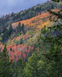 Kamas Utah Autumn Fall Color Colorful Tree Mountain Fine Art Foto Winter Stock Pictures - 015219 - 28-09-2014 - 5701x7054 Pixel Kamas Utah Autumn Fall Color Colorful Tree Mountain Fine Art Foto Winter Stock Pictures What Is Fine Art Photography Barn Rain Fine Art Photos Photography...