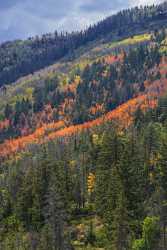 Kamas Utah Autumn Fall Color Colorful Tree Mountain Stock Pictures Forest Fine Art Printer - 015220 - 28-09-2014 - 7097x14860 Pixel Kamas Utah Autumn Fall Color Colorful Tree Mountain Stock Pictures Forest Fine Art Printer Fine Art Photography Art Prints For Sale Photo Outlook Famous Fine...