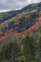 Kamas Utah Autumn Fall Color Colorful Tree Mountain Art Printing Fine Art Posters Art Prints - 015223 - 28-09-2014 - 7111x11474 Pixel Kamas Utah Autumn Fall Color Colorful Tree Mountain Art Printing Fine Art Posters Art Prints Fine Art Photography Prints View Point Fog Summer Fine Art...