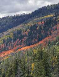 Kamas Utah Autumn Fall Color Colorful Tree Mountain Nature Fine Art America Fine Art Landscape - 015224 - 28-09-2014 - 7218x9460 Pixel Kamas Utah Autumn Fall Color Colorful Tree Mountain Nature Fine Art America Fine Art Landscape Art Prints Sea Modern Art Prints City Fine Art Photography For...