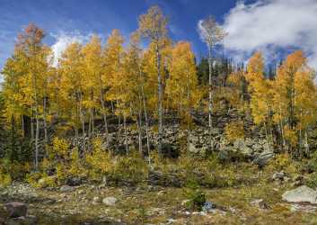 Kamas Utah Autumn Fall Color Colorful Tree Mountain Coast Art Photography Gallery Modern Wall Art - 015231 - 28-09-2014 - 8887x6298 Pixel Kamas Utah Autumn Fall Color Colorful Tree Mountain Coast Art Photography Gallery Modern Wall Art Order Animal Fine Art Prints For Sale Fog Image Stock Sunshine...