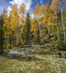 Kamas Utah Autumn Fall Color Colorful Tree Mountain Flower Stock Pictures Fine Art Photo - 015234 - 28-09-2014 - 7245x7942 Pixel Kamas Utah Autumn Fall Color Colorful Tree Mountain Flower Stock Pictures Fine Art Photo Fine Art Foto Stock Forest Summer Lake Fine Art Prints Fine Art...