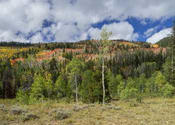 Kamas Utah Autumn Fall Color Colorful Tree Mountain Leave Fine Art Foto Art Prints For Sale Town - 015238 - 28-09-2014 - 7310x5245 Pixel Kamas Utah Autumn Fall Color Colorful Tree Mountain Leave Fine Art Foto Art Prints For Sale Town Western Art Prints For Sale Royalty Free Stock Photos Sunshine...