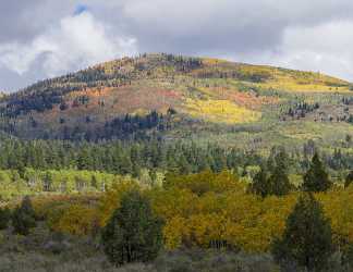 Kamas Utah Autumn Fall Color Colorful Tree Mountain Image Stock Fine Art Prints For Sale - 015241 - 28-09-2014 - 10121x7814 Pixel Kamas Utah Autumn Fall Color Colorful Tree Mountain Image Stock Fine Art Prints For Sale Fine Art Print Fine Art Printing Art Prints For Sale Fine Art Art...