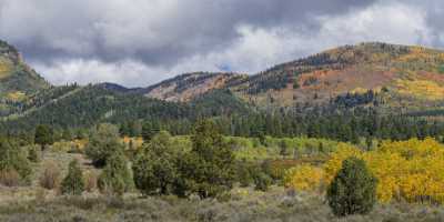 Kamas Utah Autumn Fall Color Colorful Tree Mountain Sunshine Photography - 015242 - 28-09-2014 - 21307x5091 Pixel Kamas Utah Autumn Fall Color Colorful Tree Mountain Sunshine Photography Fine Art Landscape Photography Nature Fine Art Fotografie Famous Fine Art Photographers...