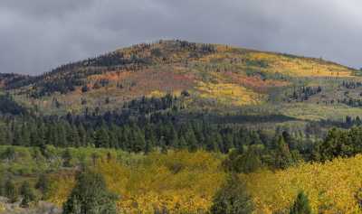 Kamas Utah Autumn Fall Color Colorful Tree Mountain Fine Art Printer Famous Fine Art Photographers - 015247 - 28-09-2014 - 11219x6647 Pixel Kamas Utah Autumn Fall Color Colorful Tree Mountain Fine Art Printer Famous Fine Art Photographers Photo Ice Prints For Sale Fine Art Print Country Road Park...