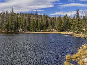 Butterfly Lake